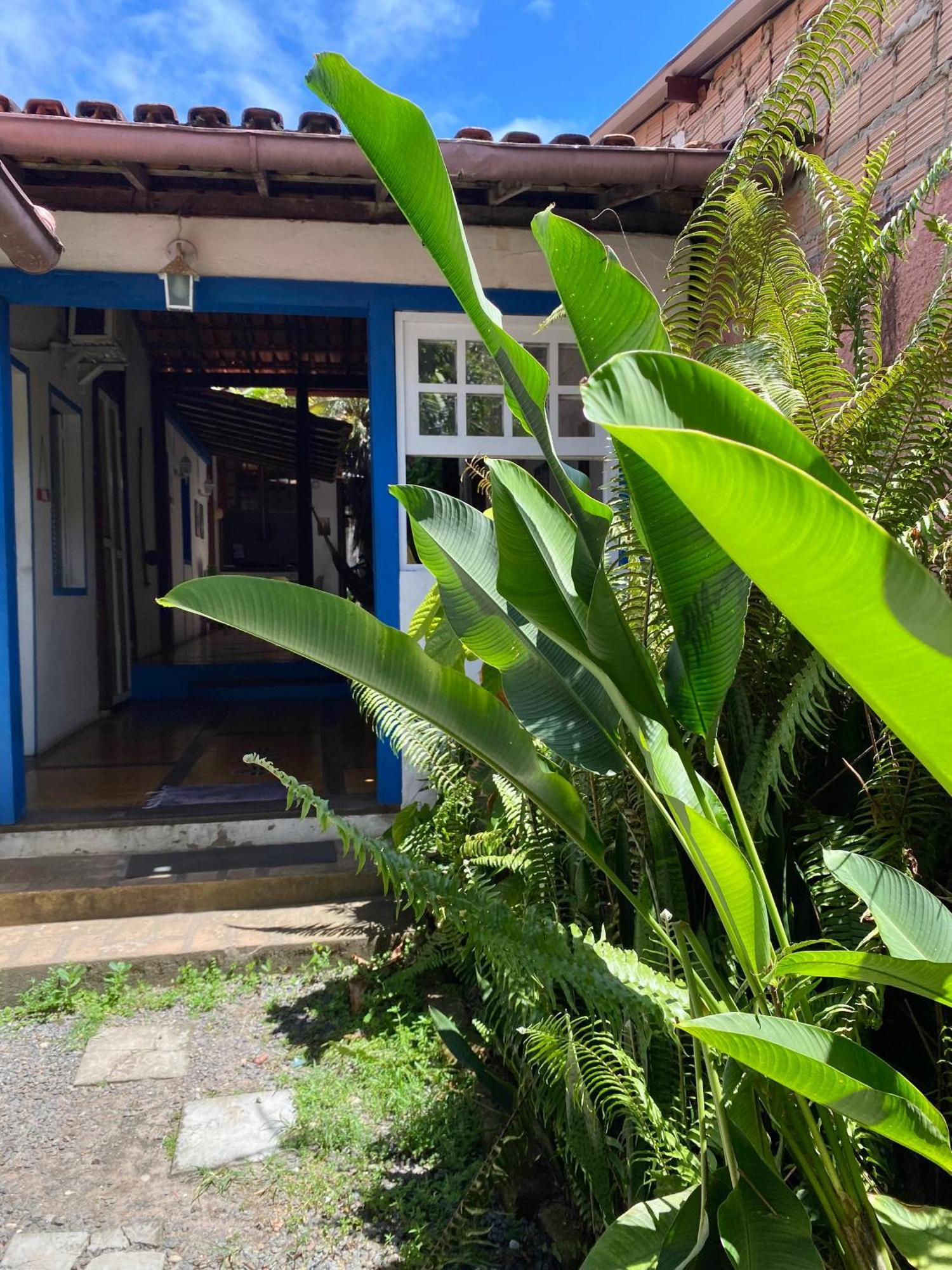Tropicalia Hostel E Pousada Itacaré Buitenkant foto